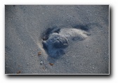 [Click to enlarge]